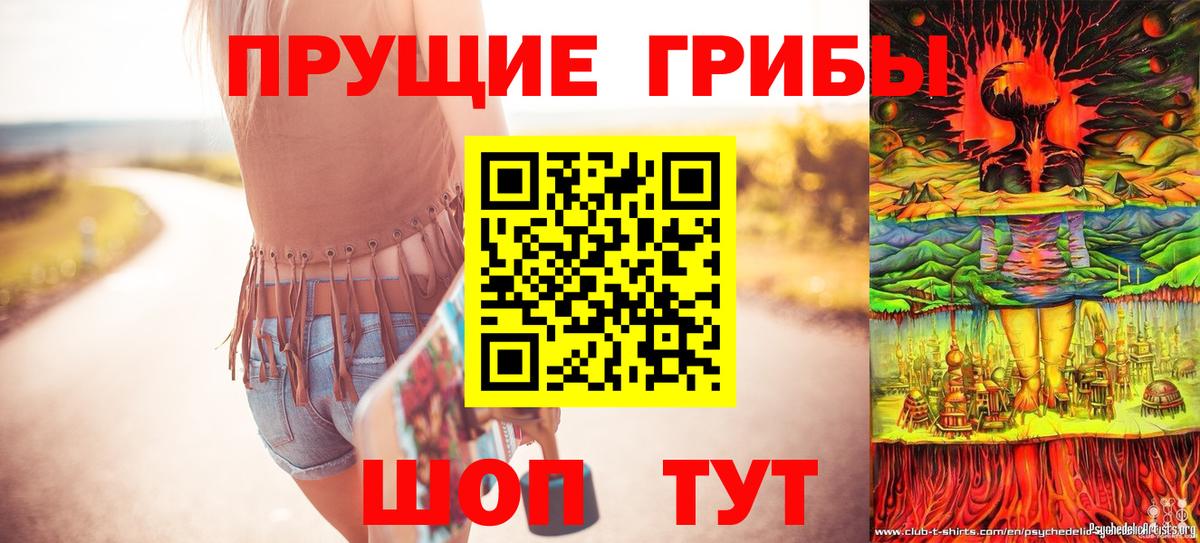 Псилоцибиновые грибы Psilocybe Новочебоксарск